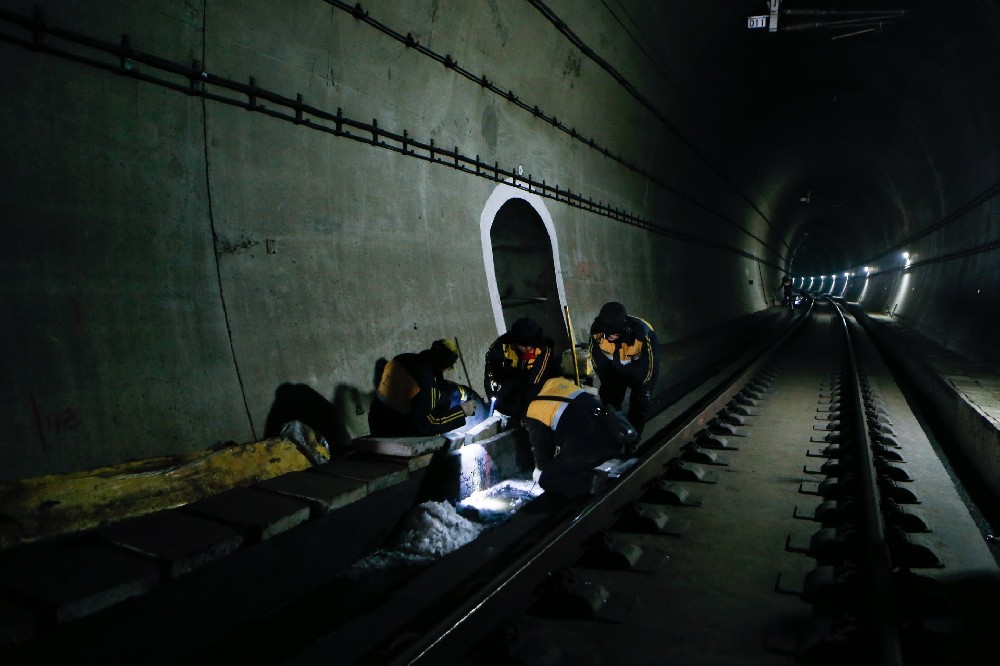 虎门港管委会铁路运营隧道病害现状